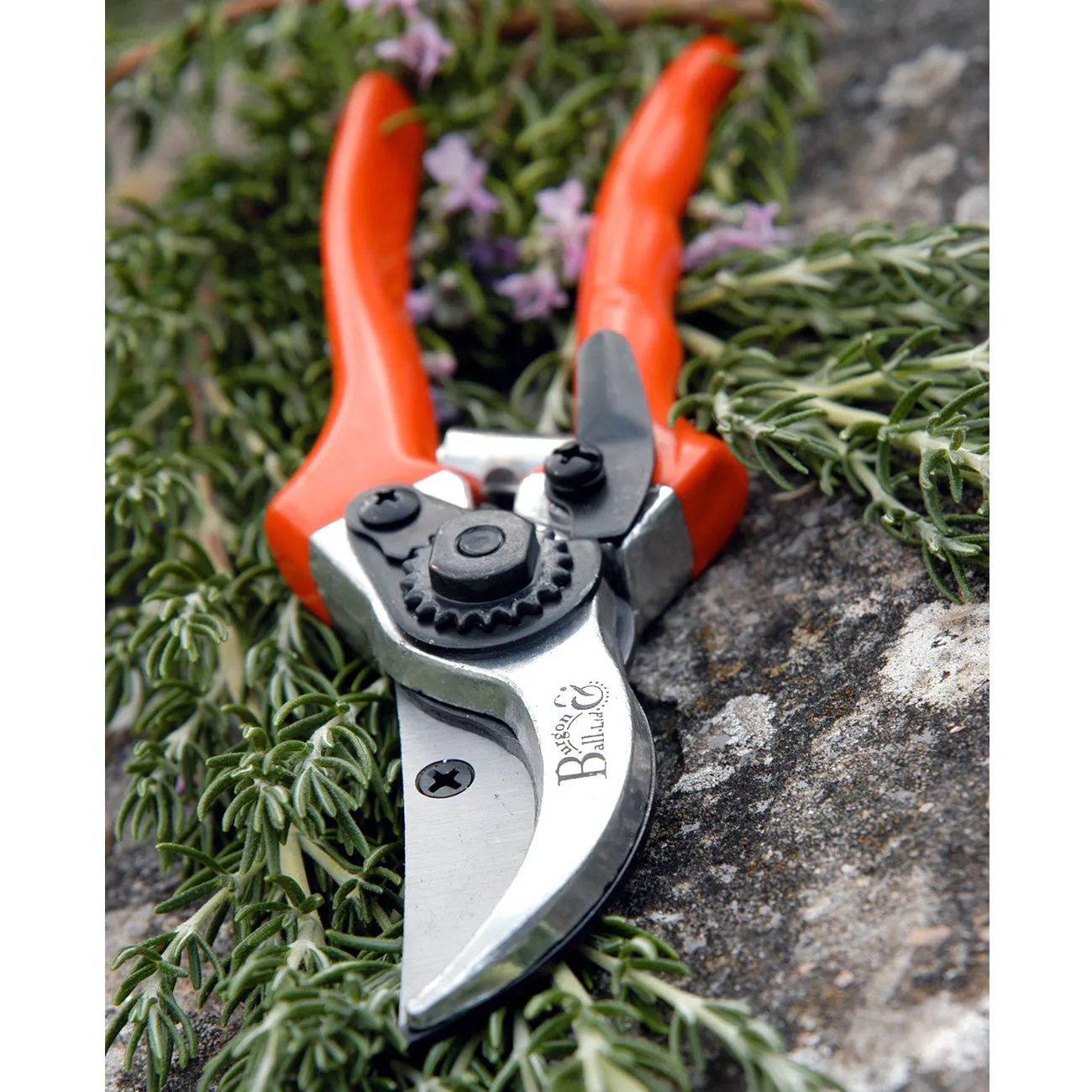 Bypass Secateurs - RHS Endorsed