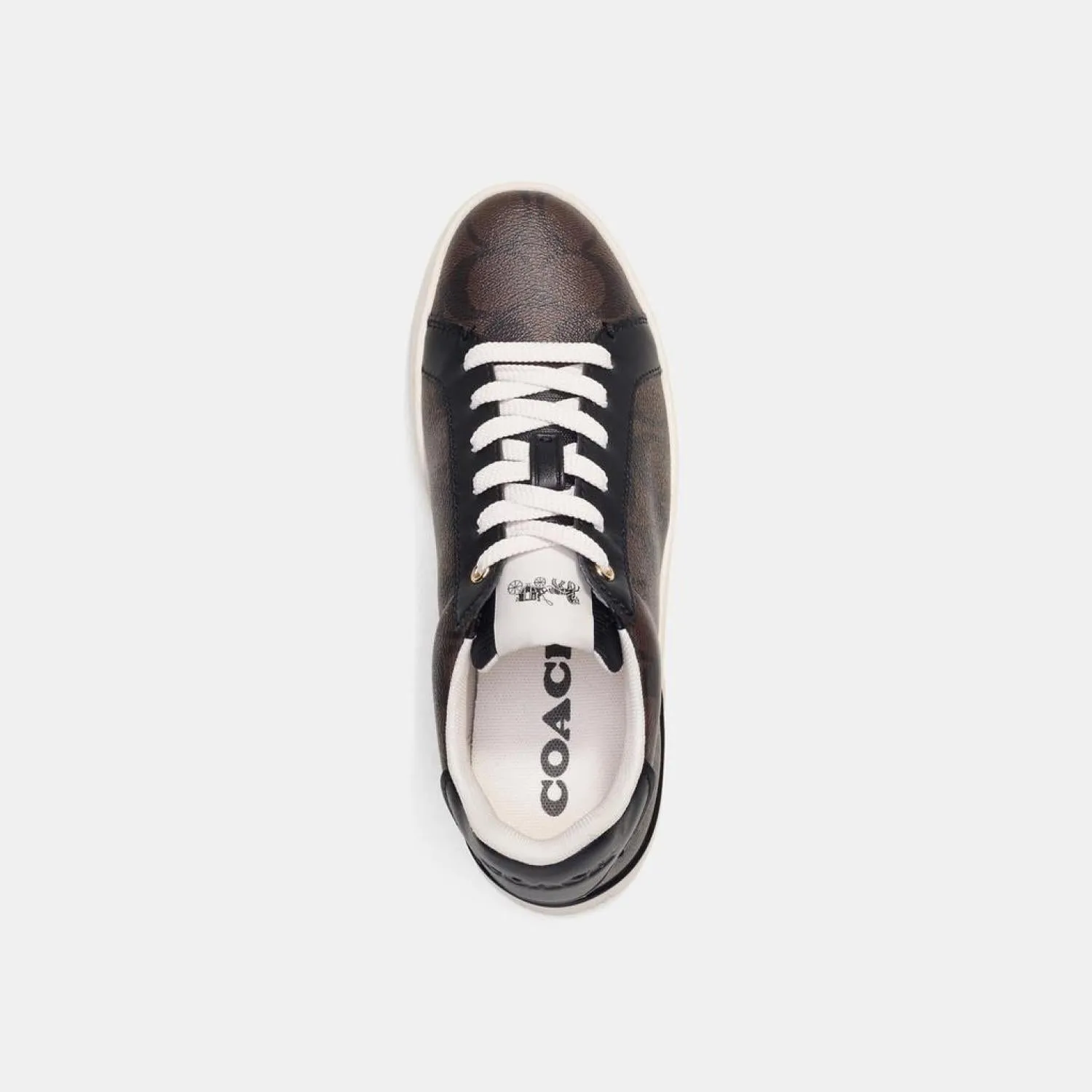 Coach Outlet Clip Low Top Sneaker In Signature Canvas