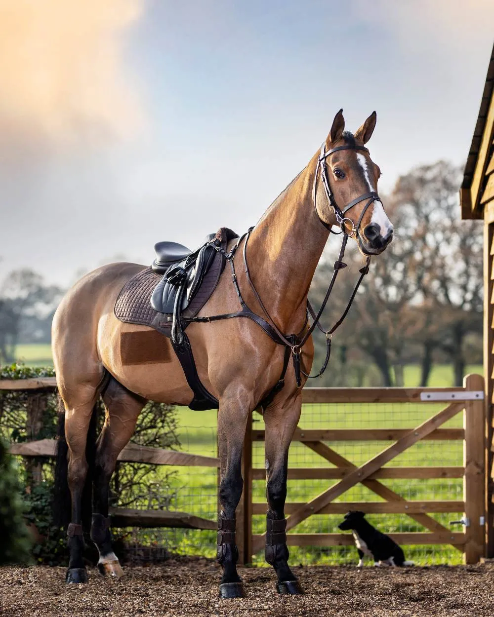 LeMieux Cotton Close Contact Square Saddle Pad