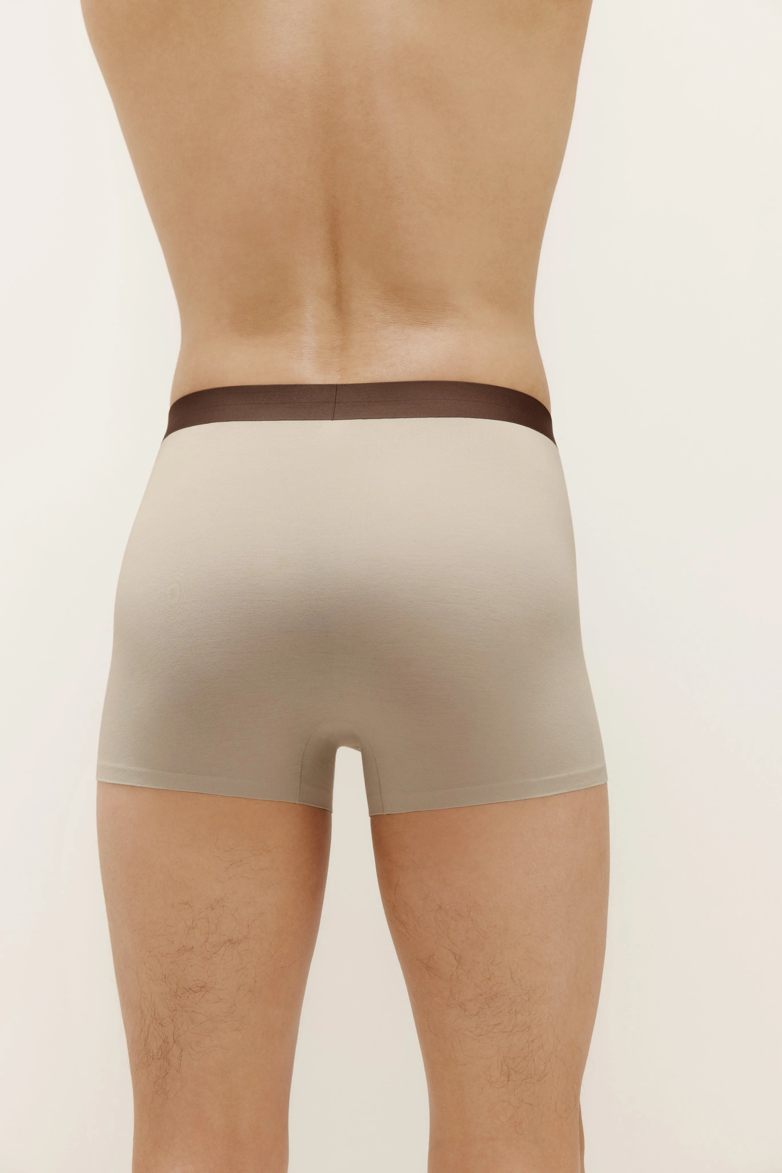 Men's Cotton Modal Brief